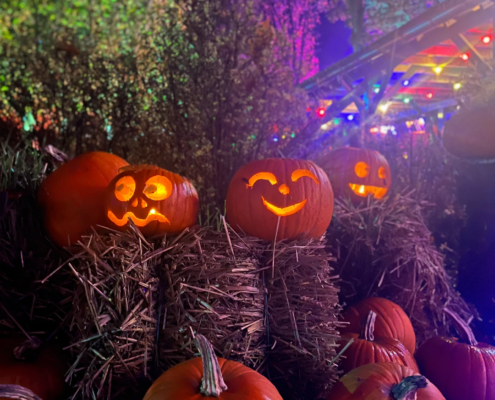 faq-halloween