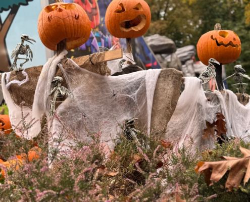 sfeerbeeld-halloween